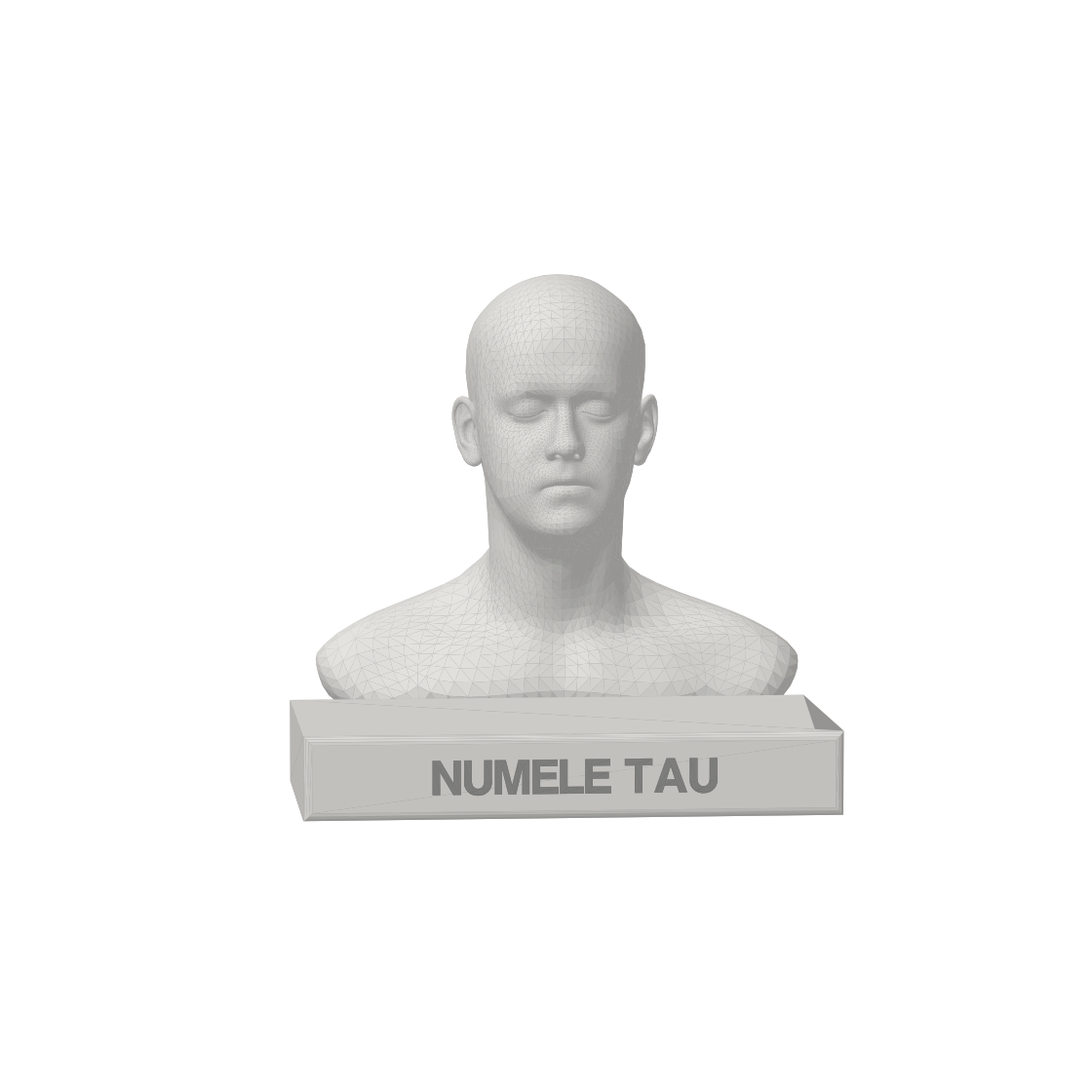 Exemplu de bust alb pe un soclu inscripționat NUMELE TAU